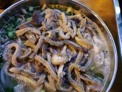 羊杂米粉-攀枝花·任德琼·盐边羊肉米线