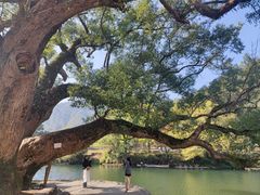 -上坦村