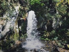 -吊水壶国家森林公园