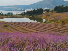 -华侨城阳宗海海景温泉