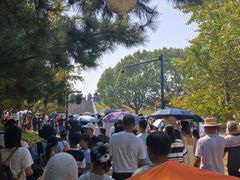-观潮胜地公园