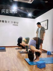 -兴亚瑜伽20年老馆