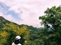 -大岭沟猕猴桃谷风景区