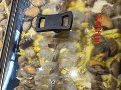 -添福来墨鱼饺子 · 海鲜东北菜(泡崖店)