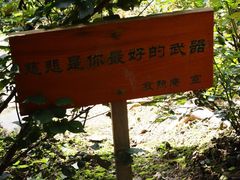 -寂照庵