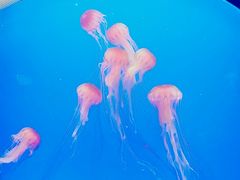 -博望坡酒楼(漕溪路店)