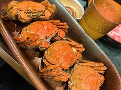 -牛New寿喜烧(中山公园龙之梦店)