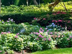 -常州古运河南大街文化旅游区-人民公园