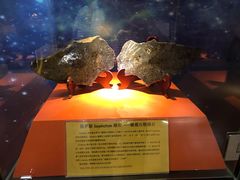 -紫金山天文台