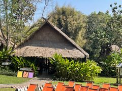 -大象粑粑造纸公园