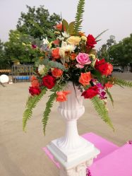 -雅奇婚庆(永乐园社区店)