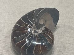 -辽宁古生物博物馆