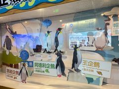 -海合安成都极地海洋公园
