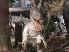 -湖南省地质博物馆