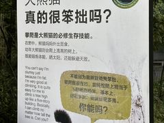 -中国大熊猫保护研究中心雅安碧峰峡基地