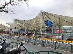 -中华艺术宫(上海美术馆)