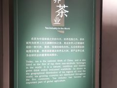 -中国茶叶博物馆(双峰馆区)