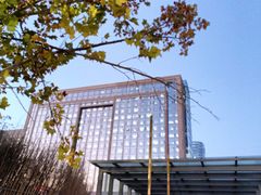 -河南省人民医院(院本部)