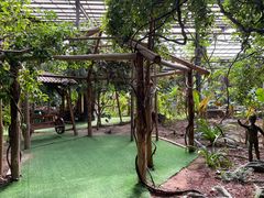 -呀路古热带植物园