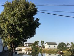 -乡乐园蟹庄·阳澄湖农家乐