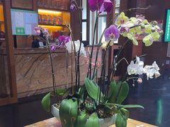 -黔蘑菇四季餐厅(观山湖店)