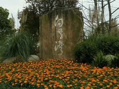 -白鹭湾湿地公园