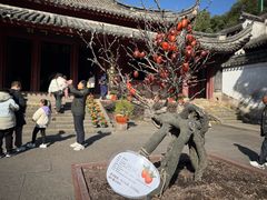 -宁波市保国寺古建筑博物馆