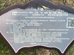 -湖北美术学院(昙华林校区)