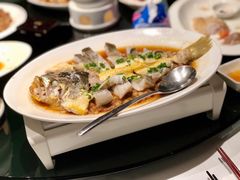 肉汁蒸东海大黄鱼-炳胜品味(海印总店)