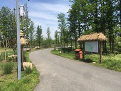 -上海长兴岛郊野公园