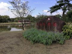 -鹅湖玫瑰文化园