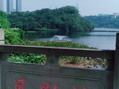 -重庆彩云湖湿地公园