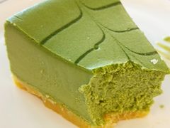 -Dinoo 片场咖啡(酒仙桥店)