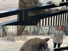 -TrueLove @ Neverland (Husky Cafe)