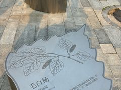 -北大家园食堂