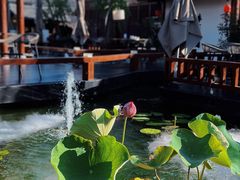 -濮园 · 四合院餐厅