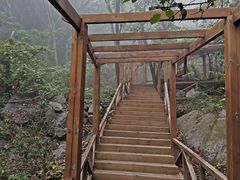 -大岭沟猕猴桃谷风景区