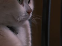 -三仟津花园咖啡馆