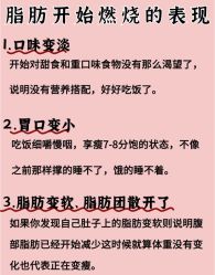 -Fundi张玉珊修身堂·indiba·BTL科技瘦身