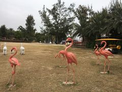 -玫瑰海岸文化旅游度假区