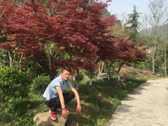 -郧西五龙河风景区