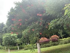 -仙海旅游度假区