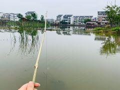 -塘栖枇杷特色园区