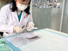 -美美宠物诊疗中心·异宠·骨科(滨江东信分院)