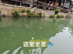 -乌镇景区