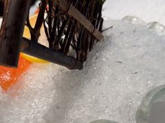 -粤盛海鲜楼(融冠乐城店)