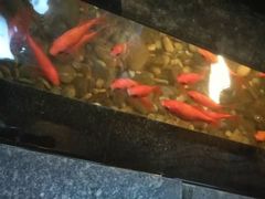 -颐和•海鲜砂锅粥•啫啫煲(奥林匹克广场店)