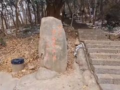 -紫金山山顶公园