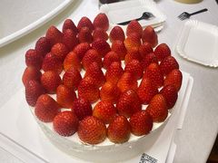 -新龙船黄浦江餐饮游船官方自营店