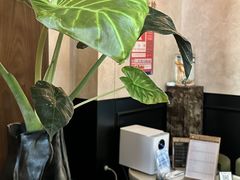 -涟LIAN·泰式按摩·MASSAGE·SPA(深业上城店)